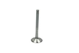 BORSEHUNG B19013 - VALVULA DE ESCAPE MOTOR AEE,AEX,ABD,ABU