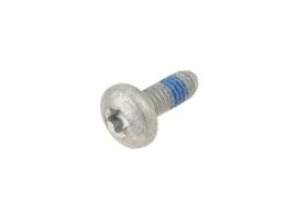 BORSEHUNG B10646 - TORNILLO DE CABEZA INTERIOR OVALADO