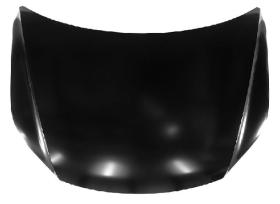 AUTO CARSER 2572000 - CAPO DELANTERO VOLKSWAGEN TIGUAN 2007->2011